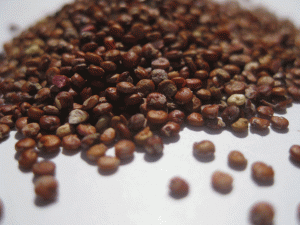 Organic-Red-Quinoa-seeds