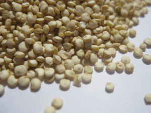 Organic-White-Quinoa-seeds