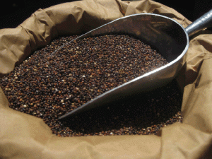 Organic-Black-Quinoa-Bulk