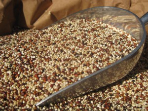 Organic Quinoa Tricolour Seeds Scoop