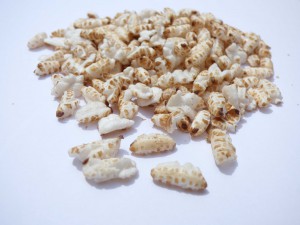 Puffed-Brown-Rice-Close-Up