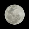 Full Moon Special - Special Promotion Product