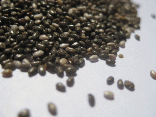CHIA BLACK SEED 1KG BULK FREE FROM GLUTEN & ALLERGENS SUPER FOOD