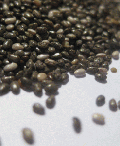 CHIA BLACK SEED 450G BULK FREE FROM GLUTEN & ALLERGENS SUPER FOOD