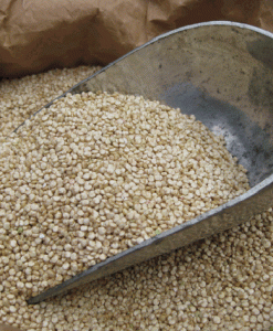 ORGANIC QUINOA WHITE SEED 1 KG BULK FREE FROM GLUTEN & ALLERGENS