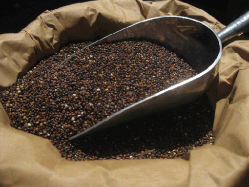 Organic Black Quinoa 450g