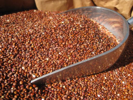 ORGANIC QUINOA RED SEED 25 KG BULK FREE FROM GLUTEN & ALLERGENS