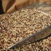 ORGANIC QUINOA TRI-COLOUR 3 KG BULK FREE FROM GLUTEN & ALLERGENS