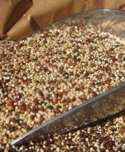 ORGANIC QUINOA TRI-COLOUR 3 KG BULK FREE FROM GLUTEN & ALLERGENS