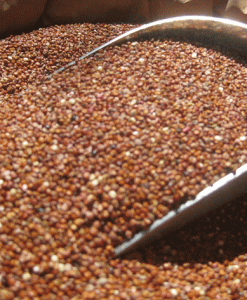 ORGANIC QUINOA RED SEED 3 KG BULK FREE FROM GLUTEN & ALLERGENS